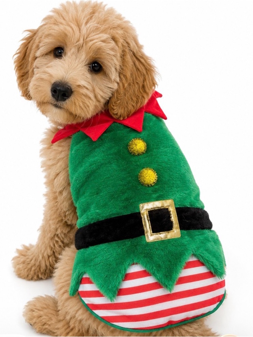 Christmas elf dog costume festive design perfect for holiday CHRISTMAS sz Medium